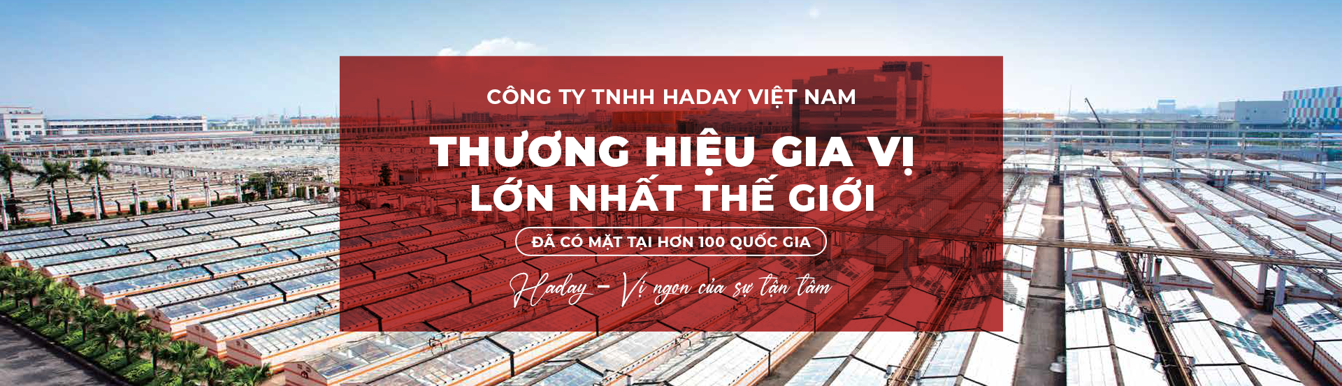 HẮC XÌ DẦU